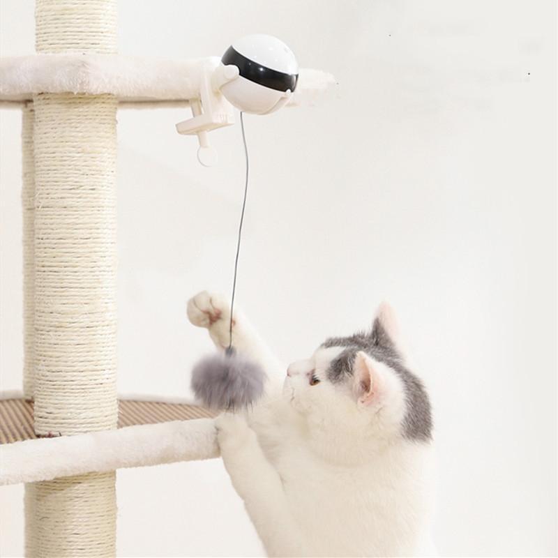 Cat Toy Electric Lifting Ball
