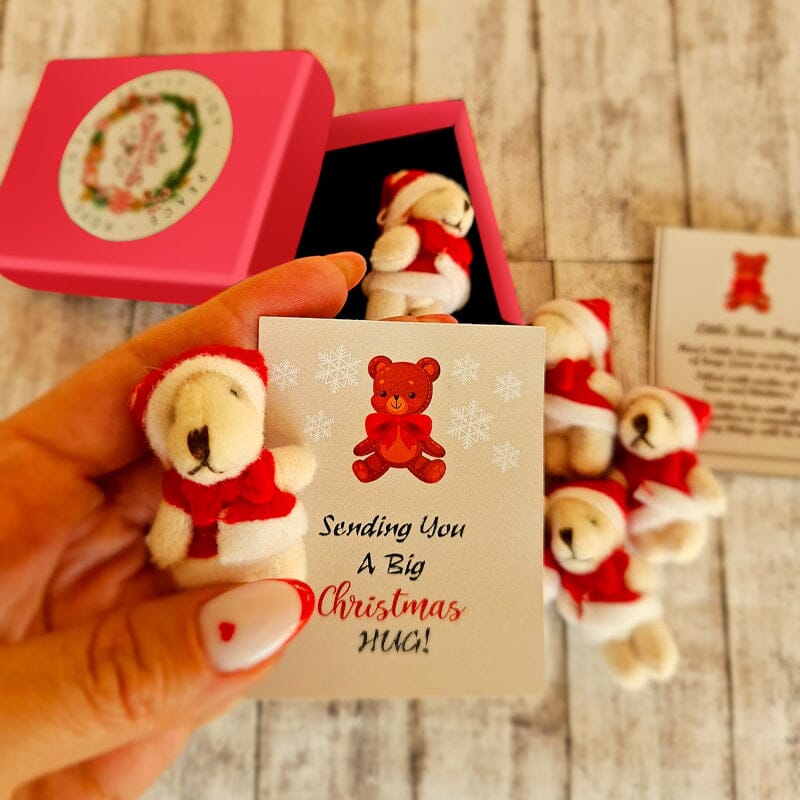 Teddy Bear Christmas Gift