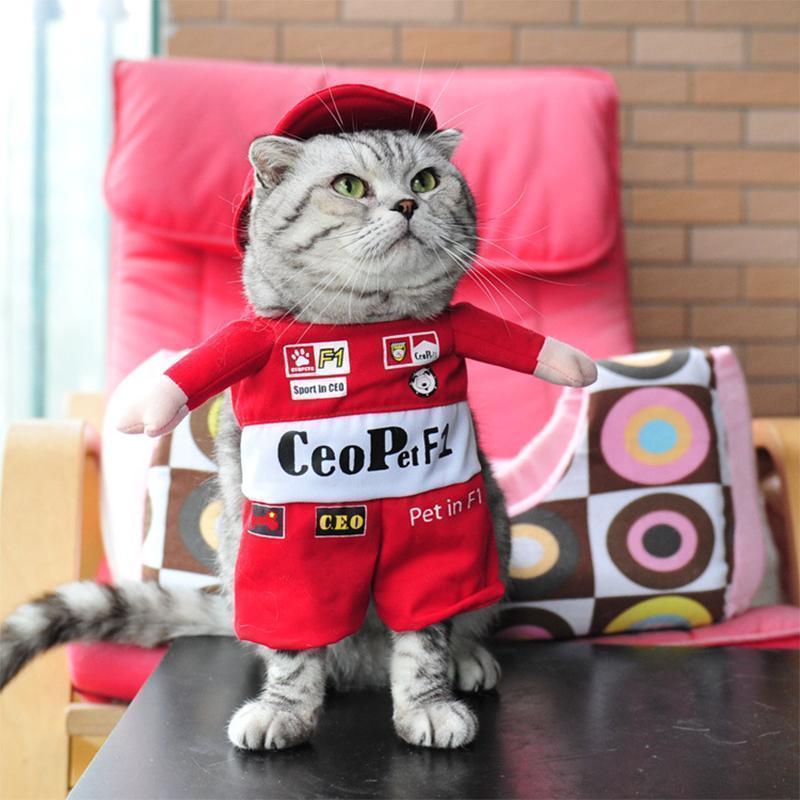Sunsetime™ Funny Pet Costumes