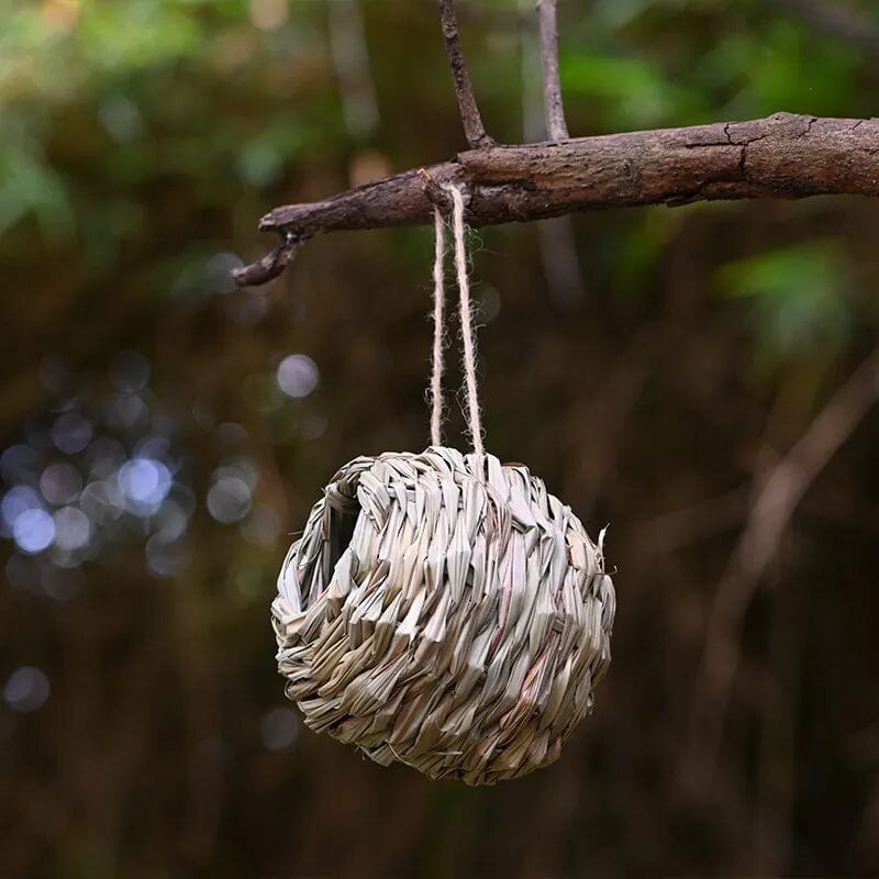 Hummingbird Nest House