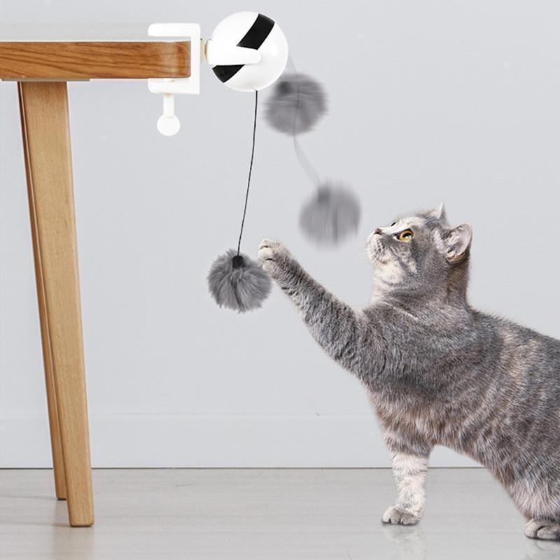 Cat Toy Electric Lifting Ball