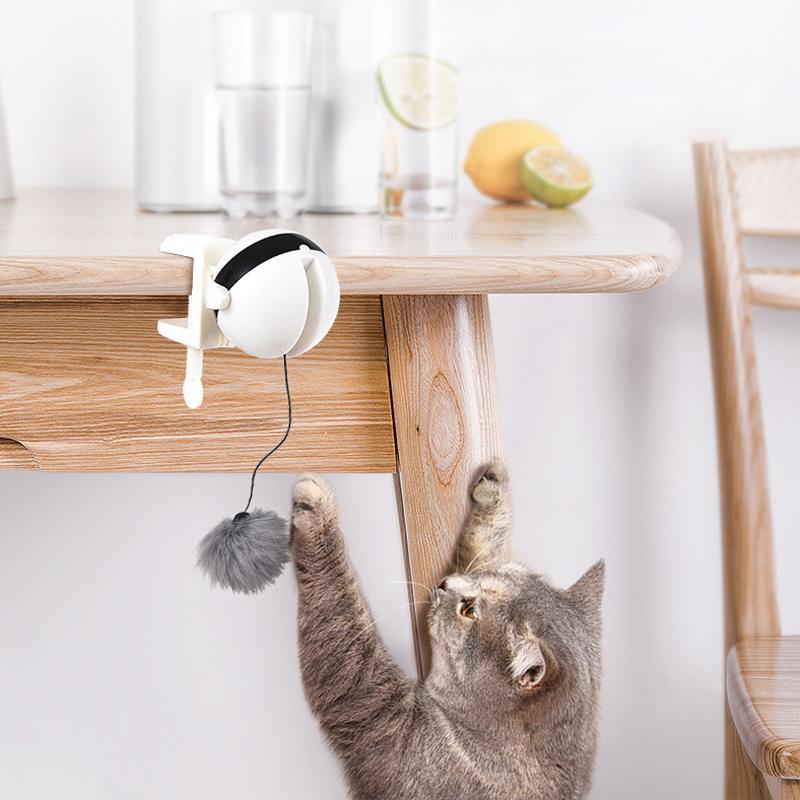 Cat Toy Electric Lifting Ball