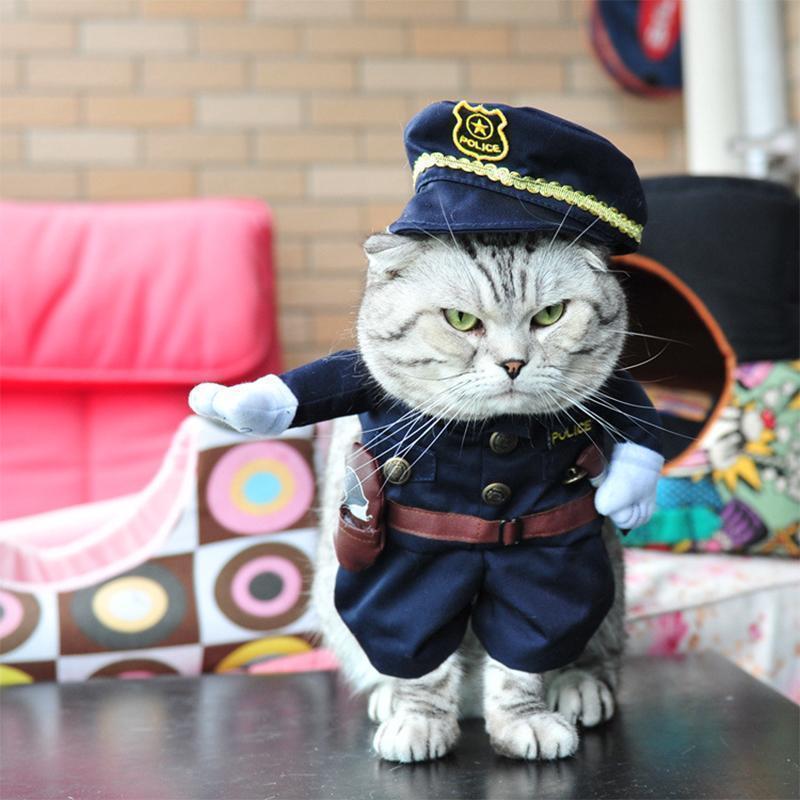 Sunsetime™ Funny Pet Costumes